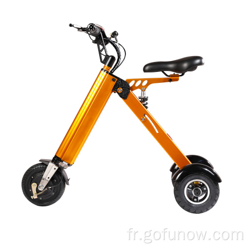 3 roues places adultes adolescents adolescents électriques scooters